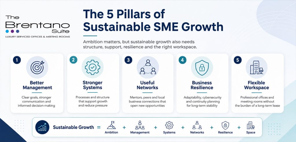 Infographic titled “The 5 Pillars of Sustainable SME Growth” showing five pillars: better management, stronger systems, useful networks, business resilience and flexible workspace