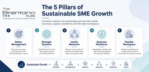 Infographic titled “The 5 Pillars of Sustainable SME Growth” showing five pillars: better management, stronger systems, useful networks, business resilience and flexible workspace