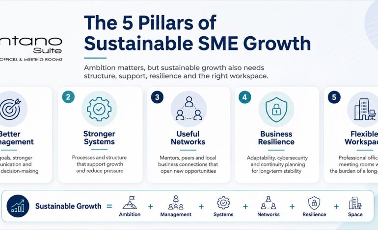 Infographic titled “The 5 Pillars of Sustainable SME Growth” showing five pillars: better management, stronger systems, useful networks, business resilience and flexible workspace