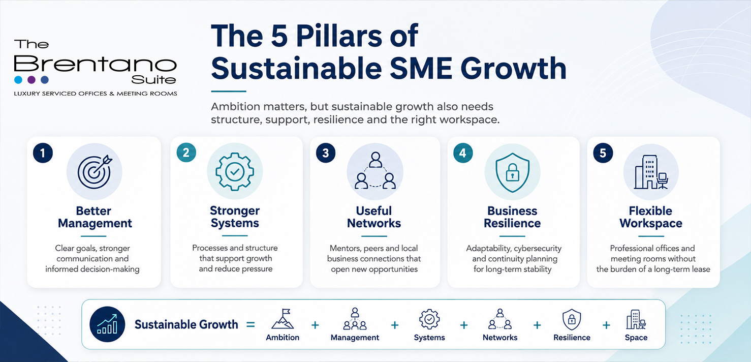 Infographic titled “The 5 Pillars of Sustainable SME Growth” showing five pillars: better management, stronger systems, useful networks, business resilience and flexible workspace